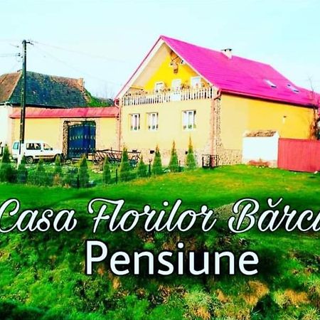 Casa Florilor Barcut Apartment Ngoại thất bức ảnh