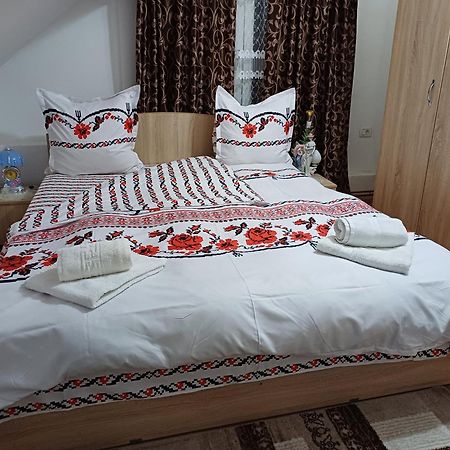 Casa Florilor Barcut Apartment Ngoại thất bức ảnh