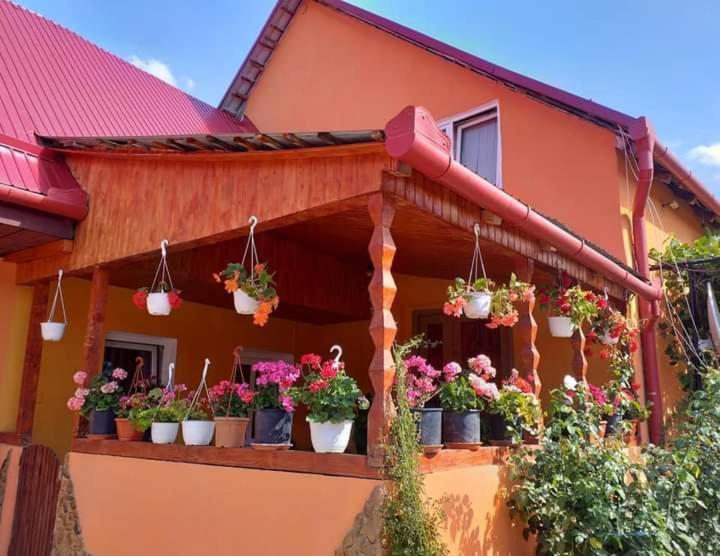 Casa Florilor Barcut Apartment Ngoại thất bức ảnh