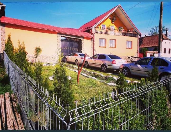Casa Florilor Barcut Apartment Ngoại thất bức ảnh