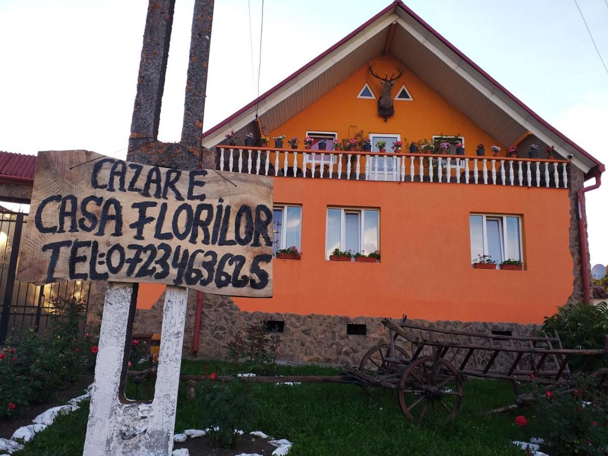 Casa Florilor Barcut Apartment Ngoại thất bức ảnh