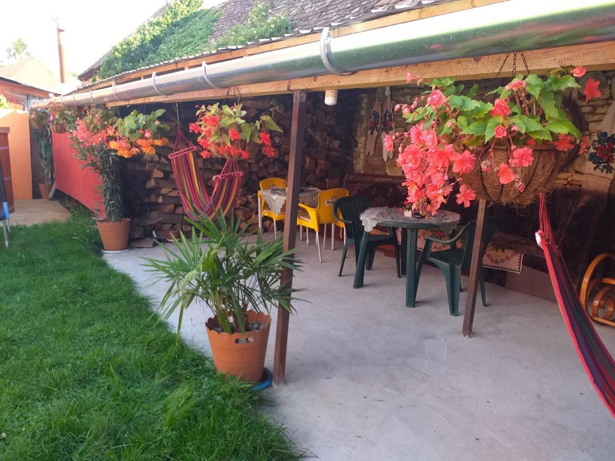 Casa Florilor Barcut Apartment Ngoại thất bức ảnh