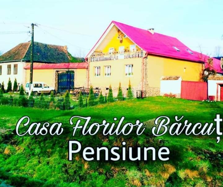 Casa Florilor Barcut Apartment Ngoại thất bức ảnh