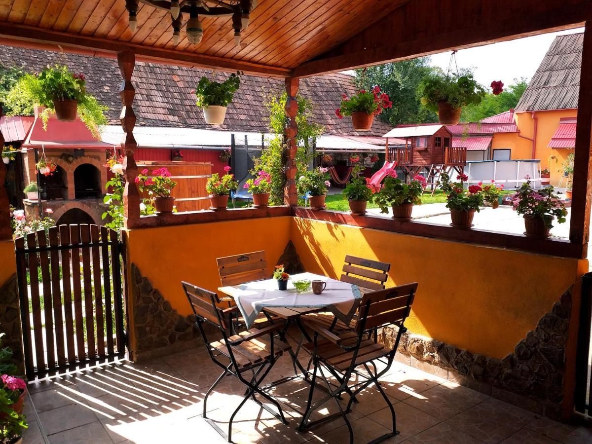 Casa Florilor Barcut Apartment Ngoại thất bức ảnh