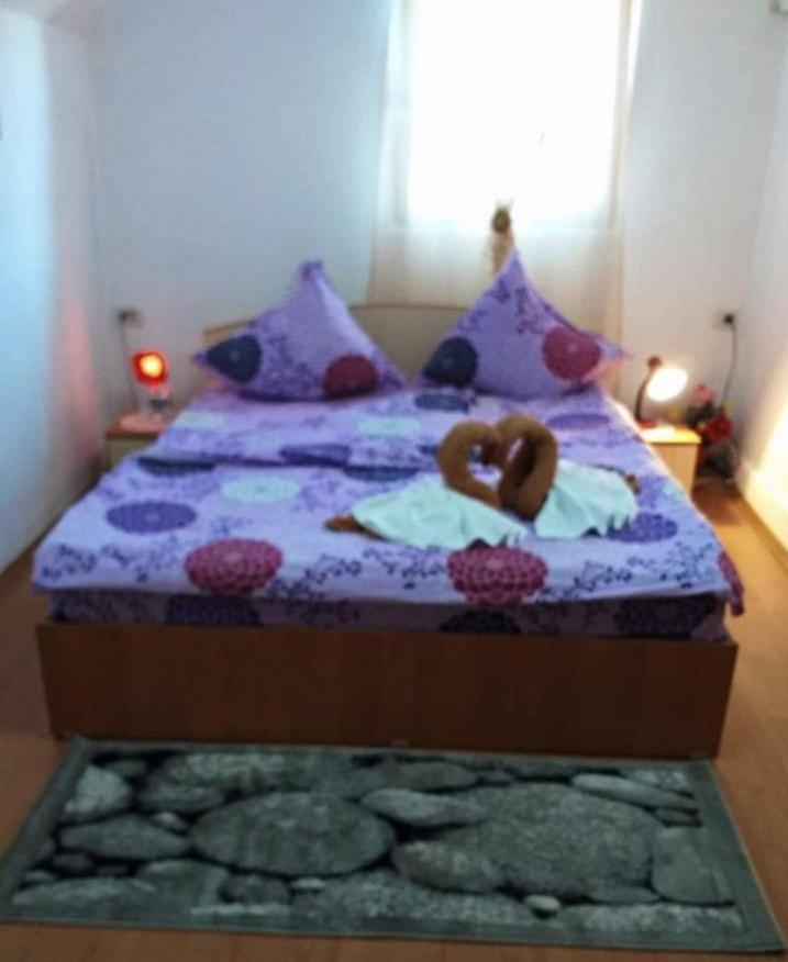 Casa Florilor Barcut Apartment Ngoại thất bức ảnh