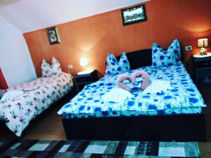 Casa Florilor Barcut Apartment Ngoại thất bức ảnh