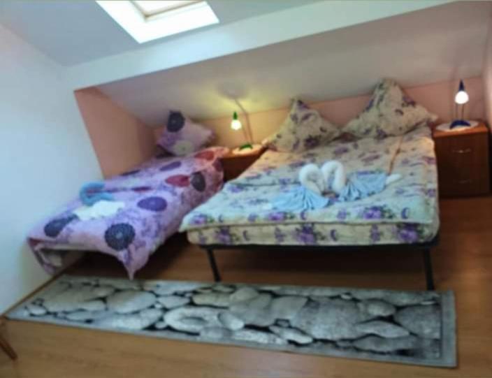 Casa Florilor Barcut Apartment Ngoại thất bức ảnh