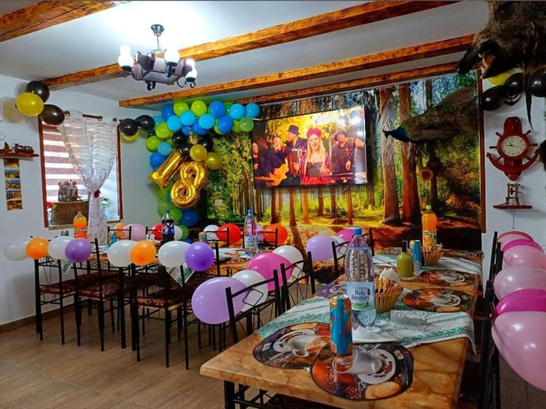 Casa Florilor Barcut Apartment Ngoại thất bức ảnh