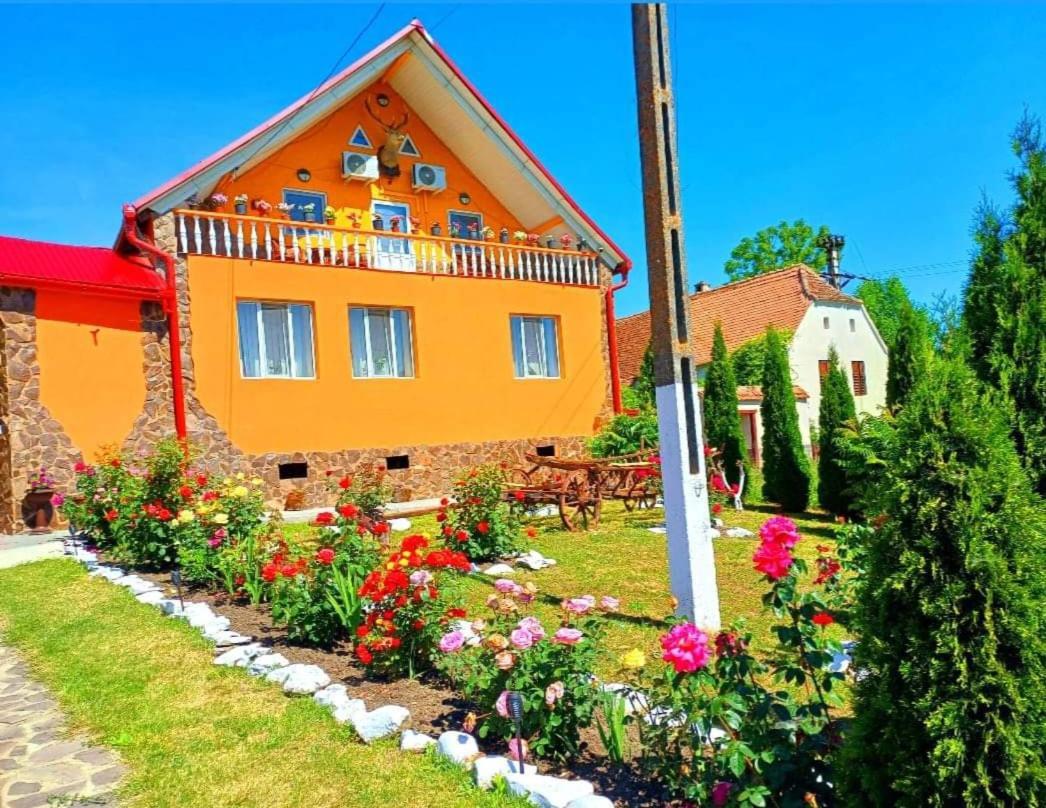 Casa Florilor Barcut Apartment Ngoại thất bức ảnh