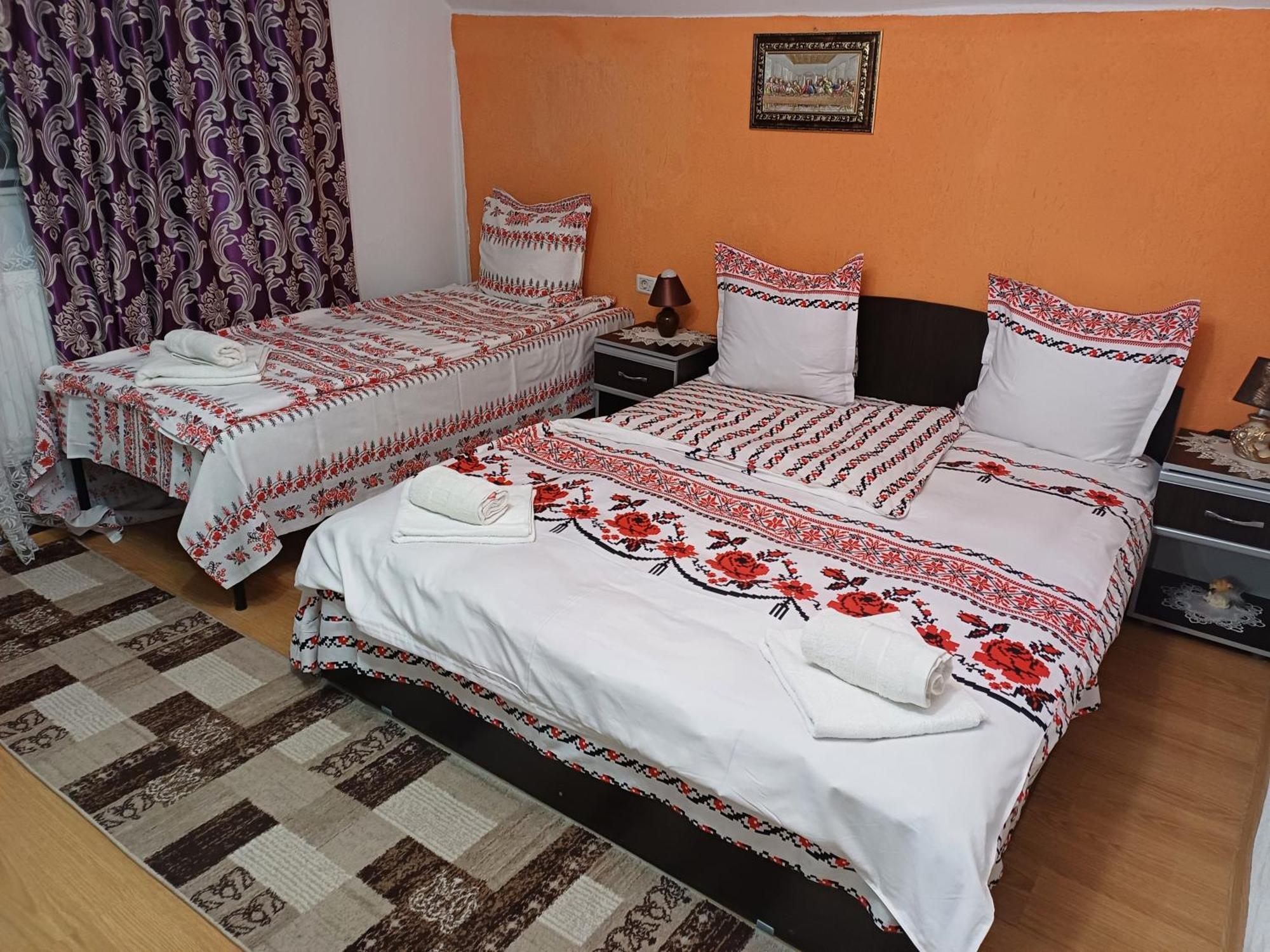 Casa Florilor Barcut Apartment Ngoại thất bức ảnh