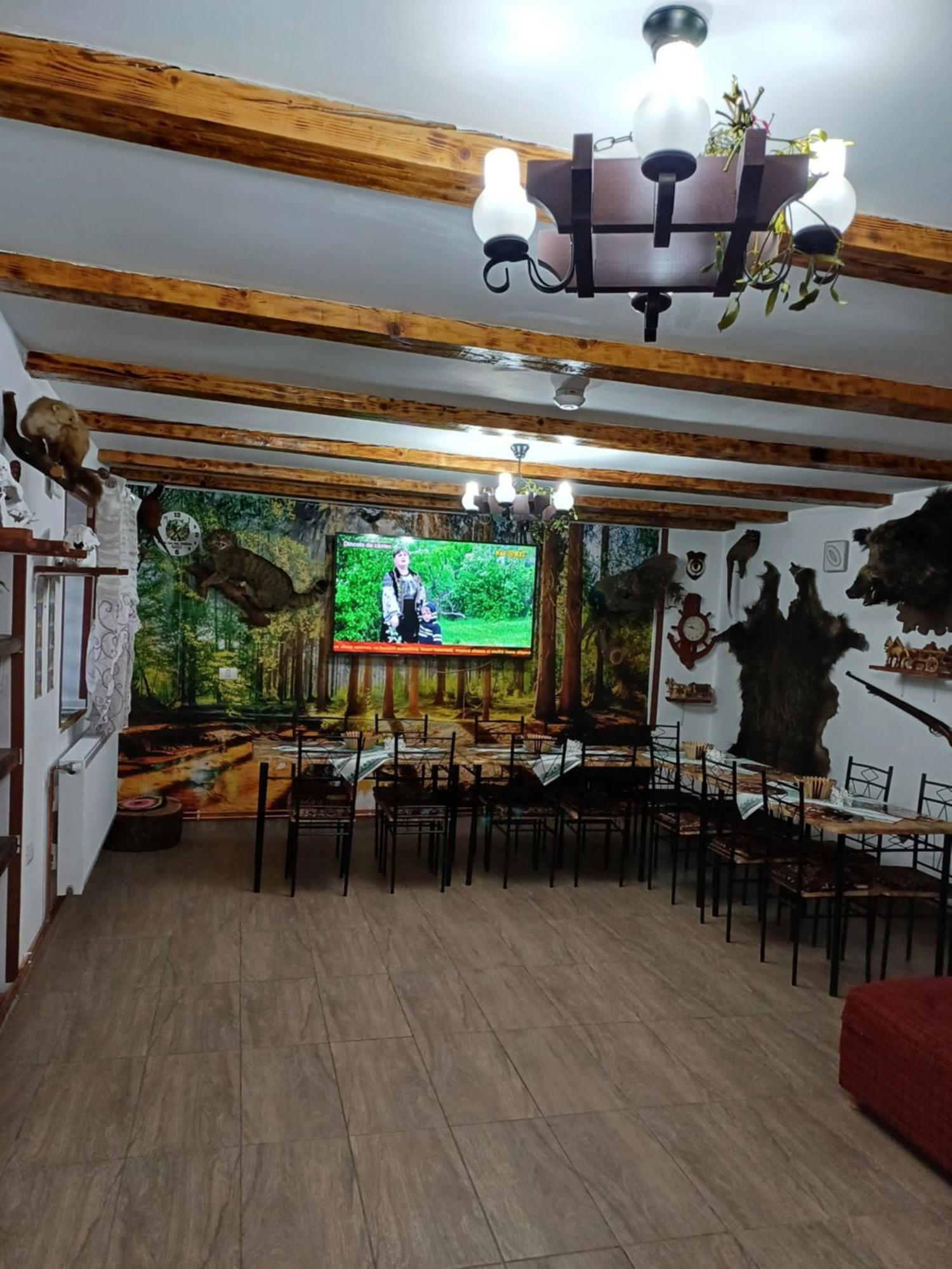 Casa Florilor Barcut Apartment Ngoại thất bức ảnh