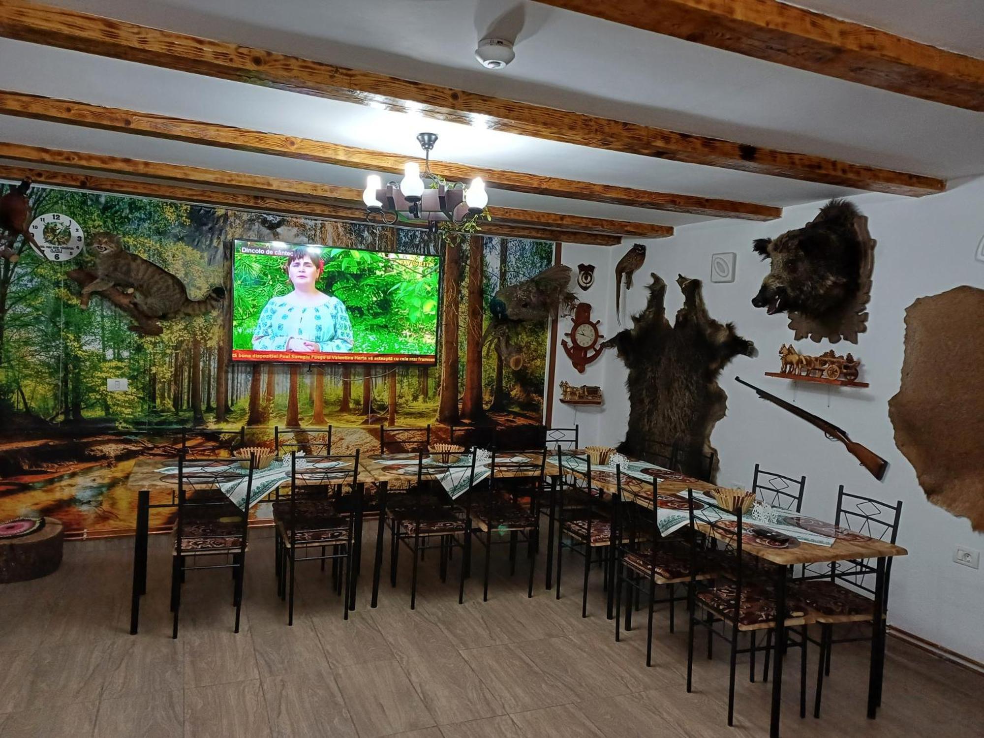 Casa Florilor Barcut Apartment Ngoại thất bức ảnh